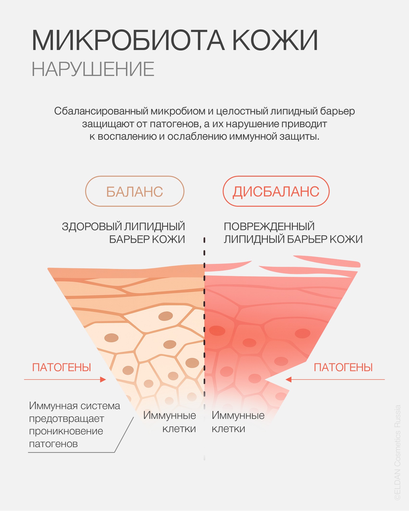 Пост состав микробиома 3.jpg Пост состав микробиома 3.jpg